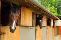 free Ty Newydd stable construction quotes